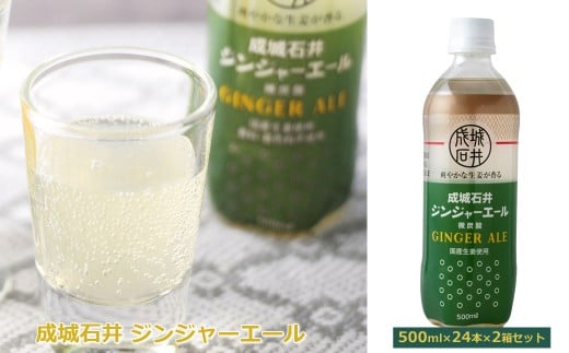 成城石井 ジンジャーエール 500ml×24本×2箱セット