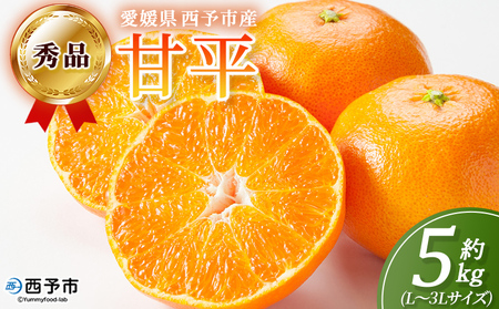 ＜秀品 甘平 (L～3Lサイズ) 約5kg＞蜜柑 ミカン みかん 果物 フルーツ 柑橘 かんぺい 果汁 ジューシー 果肉 国産 愛媛県産 西予市産 ギフト 贈答用 高級柑橘 特産品 丸二青果 愛媛県 西予市【常温】『2026年2月中旬～3月中旬頃に順次出荷予定』MMY0014