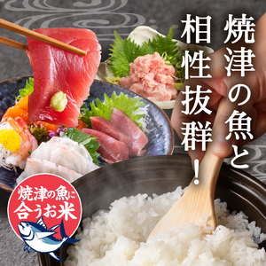 a14-075　5つ星お米マイスター厳選 焼津の魚に合う美味い米 にこまる 白米5kg