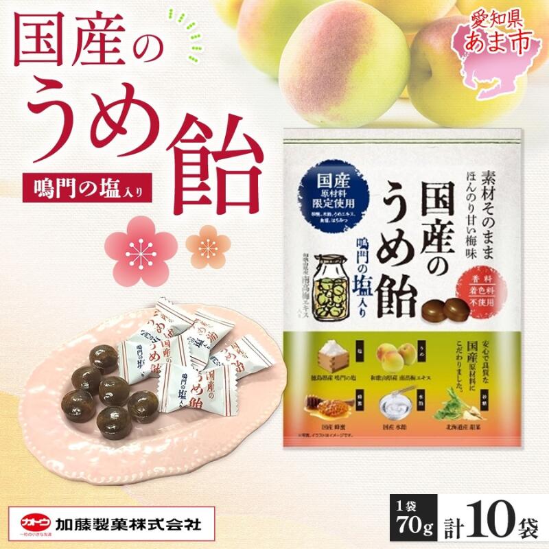 【ふるさと納税】加藤製菓 国産うめ飴 70g×10個 飴 あめ キャンデイー 個包装 国産 日本産 素材の味 素材 梅 はちみつ 甜菜糖 南高梅 酸味 まろやか 優しい味わい 持ち歩き お取り寄せ 送料無料 愛知県 あま市