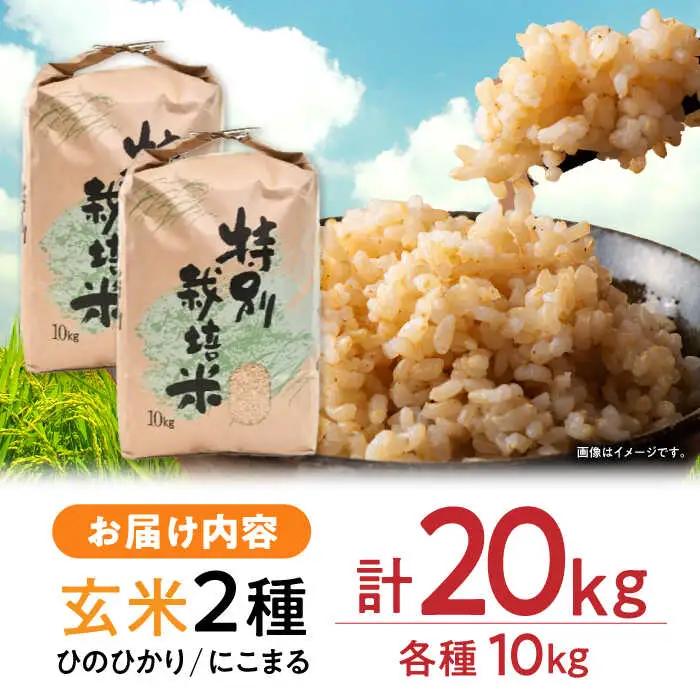 【R7年産】九州のこだわり玄米 食べ比べ (10kg×2) / にこまる ひのひかり 食べ比べ 玄米 げんまい 米 こめ コメ / 諫早市 / 上島農産 [AHAS006]