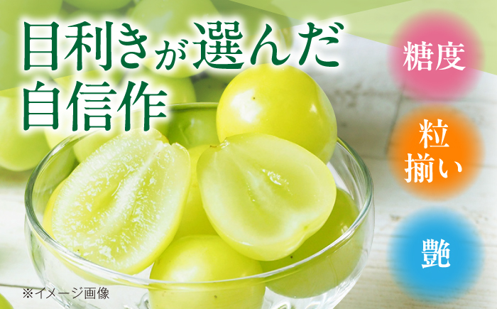 【先行予約】【2026年9月上旬より順次発送】秀品 シャインマスカット約2kg（3〜5房）　愛媛県大洲市/沢井青果有限会社 [AGBN006] シャインマスカット 葡萄 マスカットぶどう 葡萄 フルー