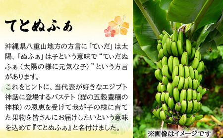 バナナ好きに届けたい！！完全無農薬栽培 もっちり食感がやみつきの希少な国産『プレミアム島ばなな』贅沢に1房丸ごと約1.5-2kgお届け！！