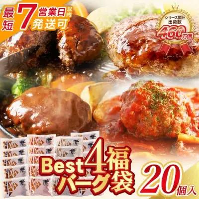 Z61-32R09 【7営業日以内発送】 Best4バーグ 20個セット 4種 ハンバーグ