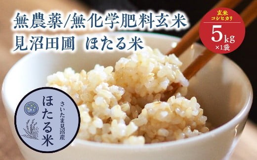 
                  見沼田圃　ほたる米（無農薬／無化学肥料玄米） コシヒカリ 5kg　【11100-1138】
                