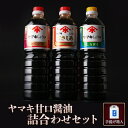 【ふるさと納税】醤油セットB ヤマキ 1L3種×各2本 セット 鹿児島 九州 醤油 調味料 しょうゆ 鹿児島 ギフト プレゼント お中元 お歳暮 薩摩川内市 川内市 川内 ふるさと 納税 薩摩川内味噌醤油