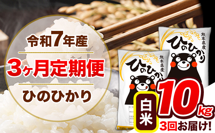 【3ヶ月定期便】令和7年産 定期便 ひのひかり 白米 10kg 《お申込み翌月から出荷開始》熊本県産 ふるさと納税 白米 精米 ひの 米 こめ ふるさとのうぜい ヒノヒカリ コメ 熊本米 ひのもり
