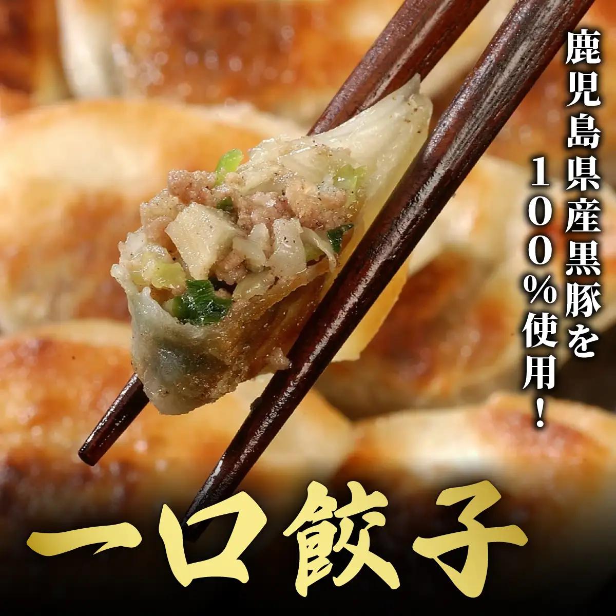 【ふるなびWEEK対象】芦屋 伊東屋 謹製 黒豚 一口餃子 40個（醤油タレ 付き）