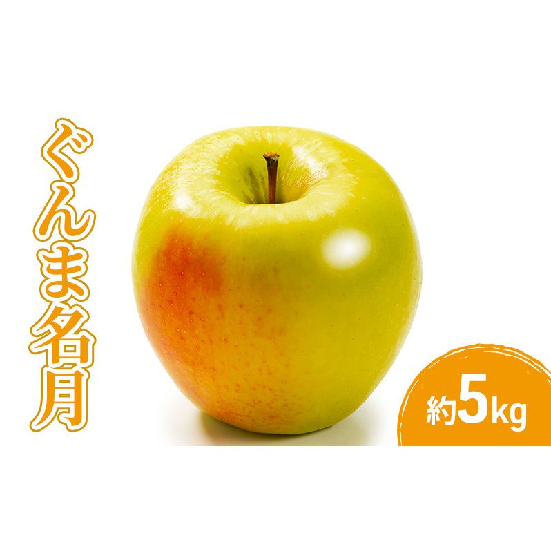 2026年産ぐんま名月5kg 果物 フルーツ りんご 長野県