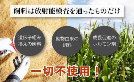 肉のあさひ 登別牛100％使用ハンバーグ 120g×5個[全3回お届け]