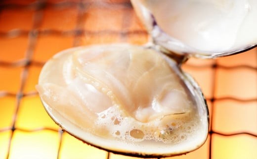 三重県・畜養はまぐり　1kg　＜ ハマグリ お吸い物に、焼き蛤！＞はまぐり ハマグリ 蛤