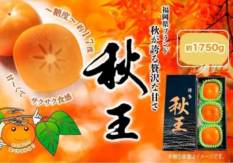 ＜2026年発送分・先行予約＞秋王 約1750g | フルーツ 果物 くだもの 食品 人気 おすすめ 送料無料