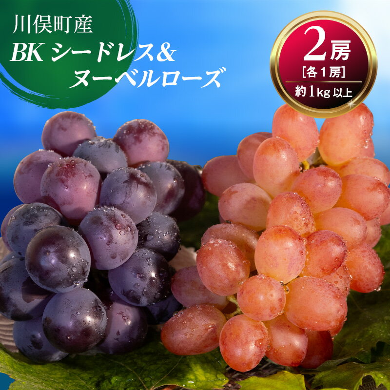 【ふるさと納税】【先行予約】川俣町産 BKシードレス&ヌーベルローズ 約1kg以上 FAF-0064