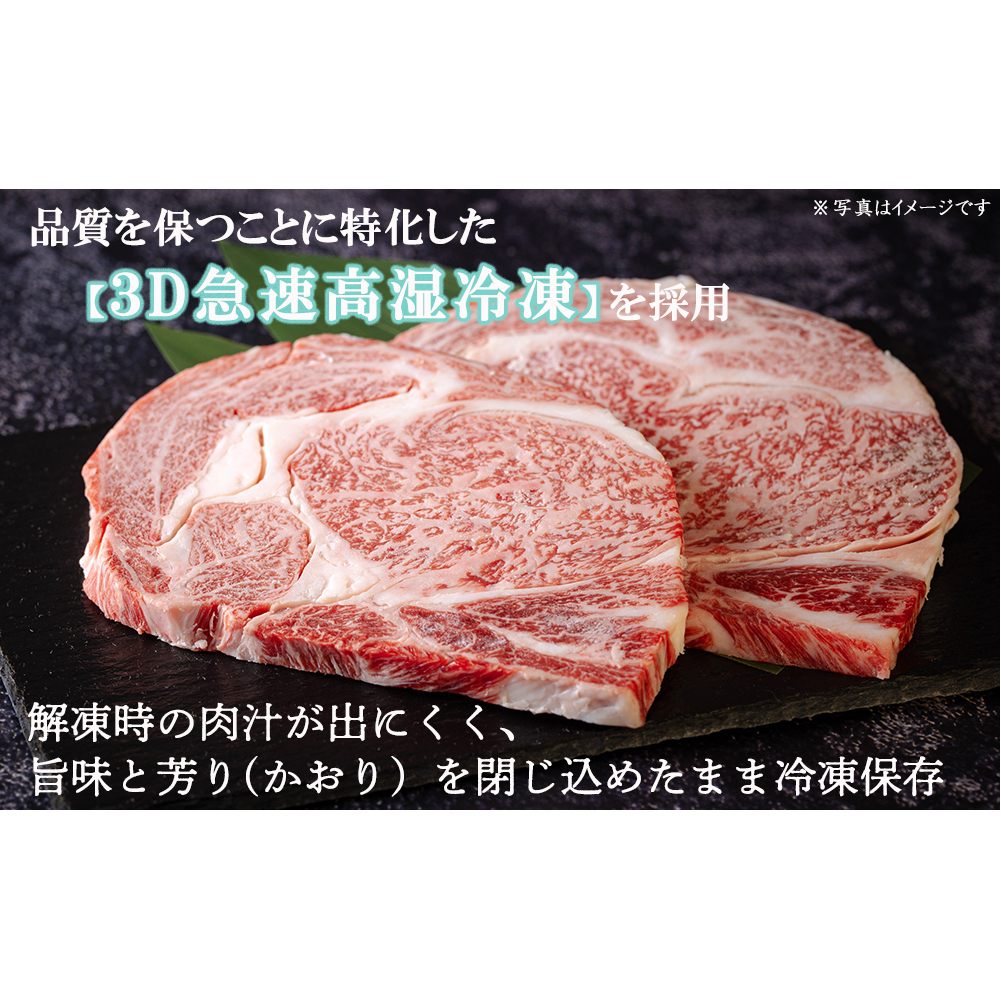 宮崎牛 A4 ヒレスーテキ 150g×3 合計450g ステーキソース付き ギフト箱入り [南海グリル 宮崎県 美郷町 31bg0014] ブランド牛 冷凍 送料無料 国産 牛 肉 南海グリル 贈り物