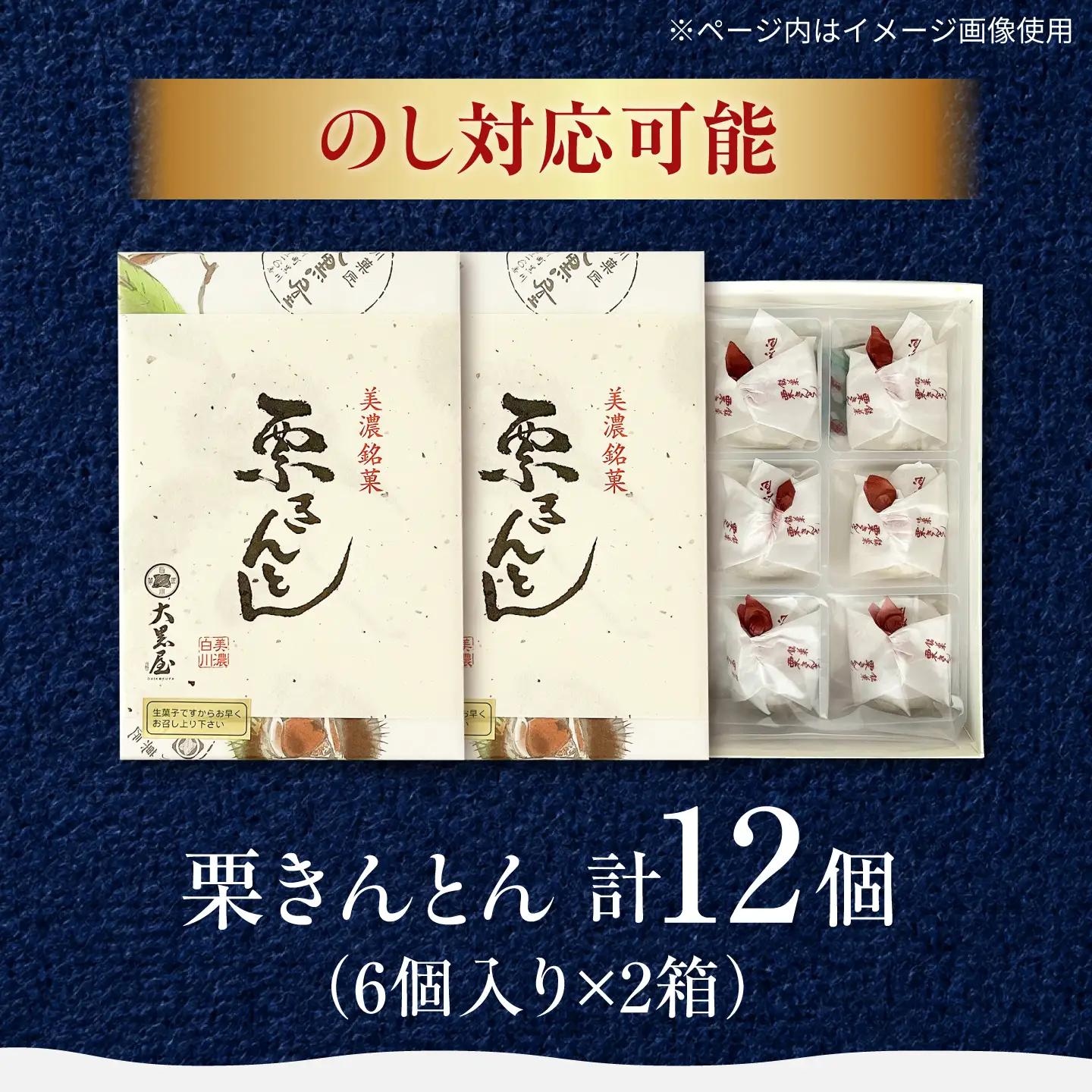 栗きんとん 【9月上旬から配送】 12個入り （6個×2箱） 白川町 / 白川菓匠 大黒屋[AWAA006]