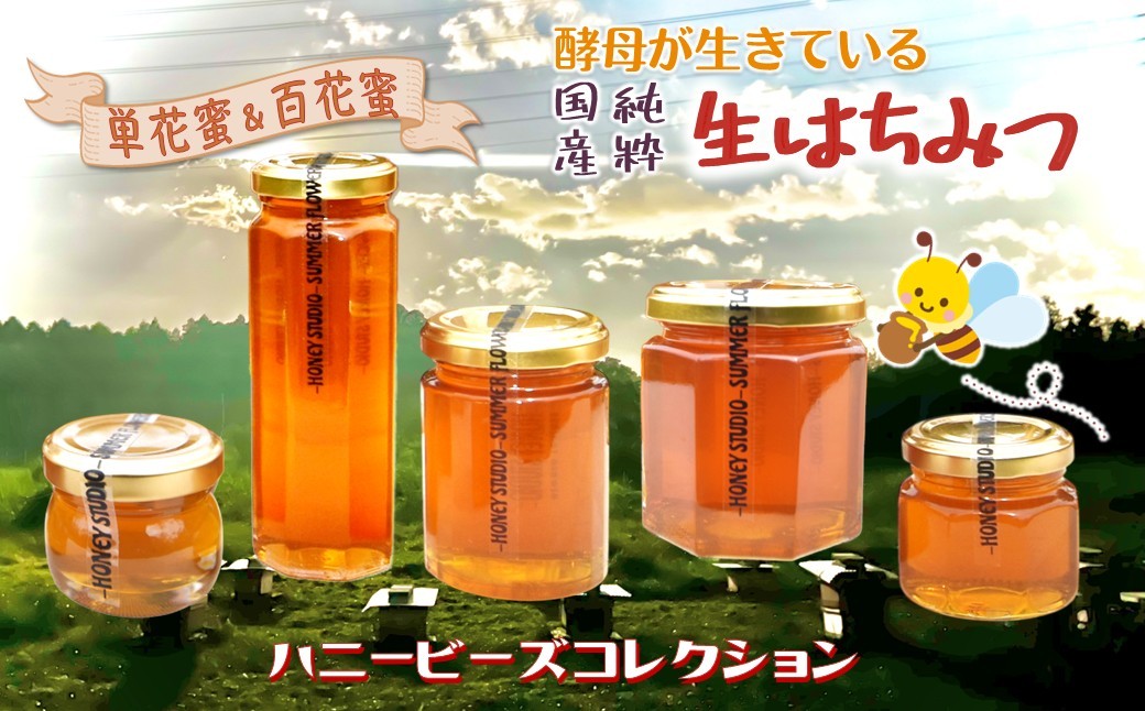 
                  はちみつ 国産 非加熱 ハニービーズコレクション“しろいの季節”のはちみつ 40g～250g 純粋生はちみつ
                