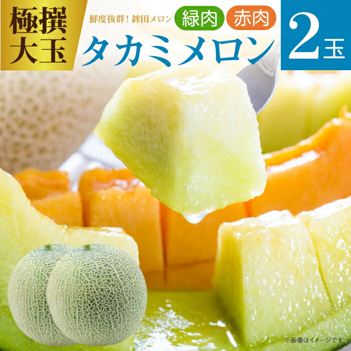 【ふるさと納税】メロン 生産量日本一 めろん タカミメロン 赤青 各1玉 計2玉 5kg以上 極選大玉 おすすめ 人気 国産 青 緑肉 青肉 赤肉 茨城 鉾田 フルーツ セット 旬 食べごろ 甘い スイーツ なめらか 上品 産地直送 完熟 6月発送 果物 みなみ果樹園芸