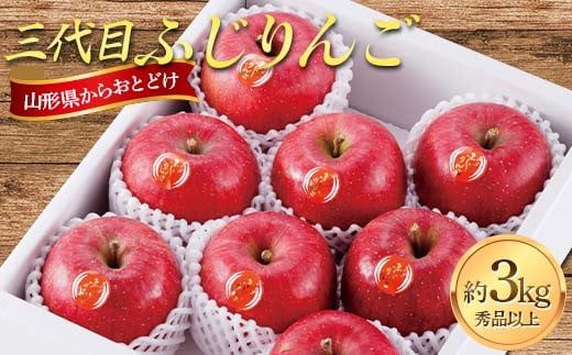 
            山形県産 三代目ふじりんご 約3kg FSY-2241
          
