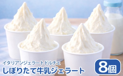 ジェラート イタリアンジェラート しぼりたて牛乳 8個 × 120ml アイスクリーム アイス シャーベット デザート スイーツ お菓子 洋菓子 おやつ 牛乳 ミルク ギフト プレゼント 贈答 お取り寄せ グルメ 冷凍 徳島県 阿波市 イタリアンジェラートドルチェ