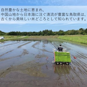 【令和5年産】　大山しらゆき米10kg（精白、コシヒカリ、5kg×2）