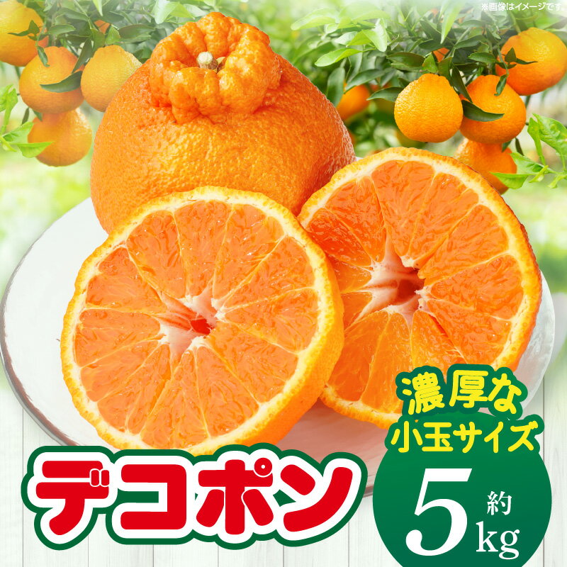 【ふるさと納税】【期間限定！】甘みと酸味の共演・濃厚「デコポン」（濃厚な小玉サイズ）約5kg【香川県共通返礼品】