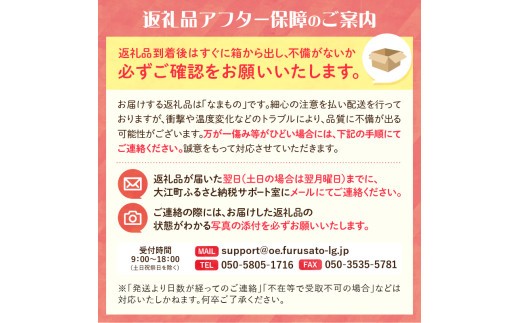 《先行受付》すもも「レイトソルダム」「太陽」約2kg 2～3L【2026年8月中旬頃～発送予定】【山形プラム・大江町産】