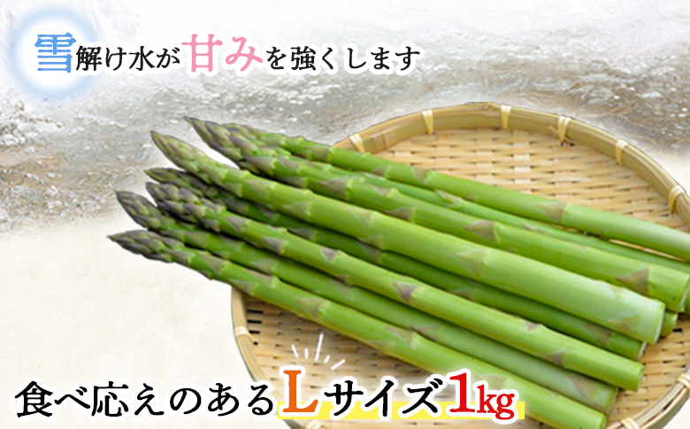 先行受付 グリーンアスパラ Lサイズ 1kg 【令和8年5月中旬～6月中旬発送】｜ オンライン 申請 ふるさと納税 北海道 新十津川 北海道産 アスパラ あすぱら アスパラガス グリーンアスパラガス 