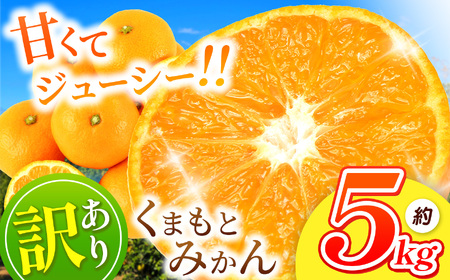 訳あり くまもと みかん 約 5kg 【 11月頃～2月頃まで 発送 】 | 果物 くだもの フルーツ 柑橘 柑橘類 みかん-みかん-みかん-みかん-みかん-みかん 熊本県 玉名市 