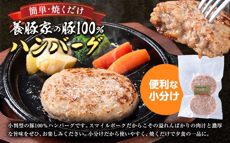 [0.95-307] 養豚家の豚100％ハンバーグセット 120g2枚入りパック×５セット計１０枚 豚肉 肉 厳選 国産 お取り寄せ グルメ おかず おすすめ スマイル ポーク 加工品 惣菜 簡単 冷