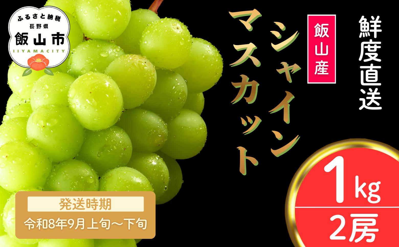 
            【先行予約丨2026年9月上旬より順次発送】シャインマスカット【約1kg (2房)】(At-006)丨長野県 飯山市 おすすめ ランキング おいしい 高評価 大人気 先取り 産地直送 シャインマスカット 甘い 糖度
          
