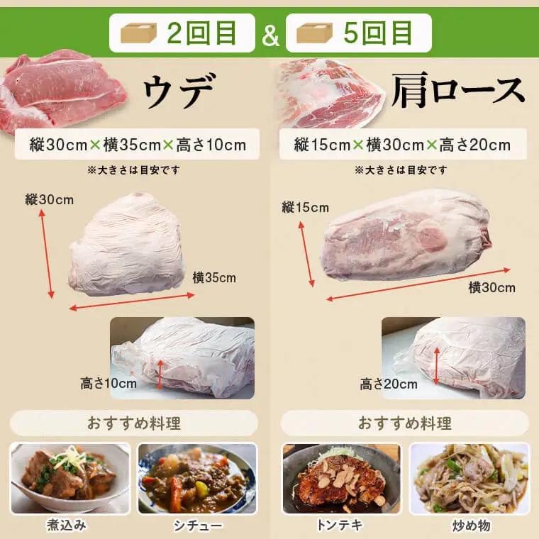 【6回定期便】 鹿児島県産 豚1頭 ブロックセット(総量約50kg前後) 豚肉【大将食品】G05032