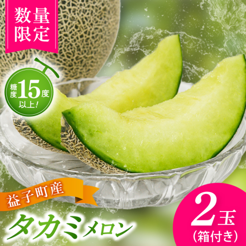 【先行予約】【数量限定】タカミメロン 2個セット (AA021)
