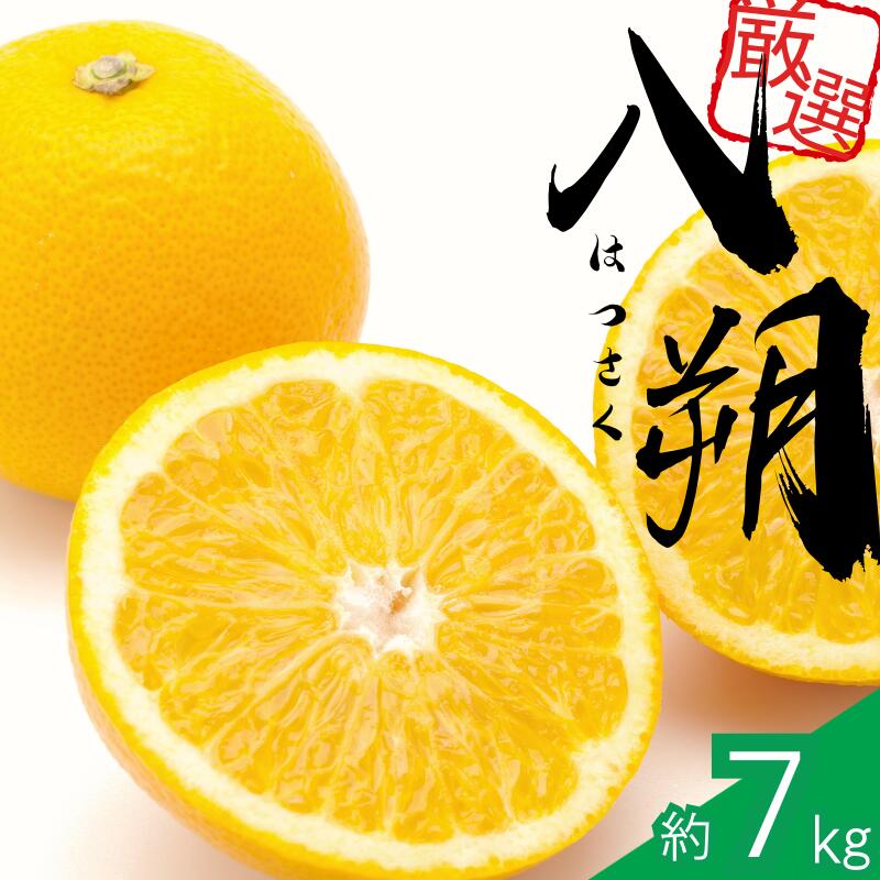 【ふるさと納税】 【先行予約】 厳選 はっさく 1kg 2.5kg 5kg 7.5kg 10kg＋250g（傷み補償分）【八朔みかん】＜2026年1月～4月下旬ごろに順次発送予定＞ / ハッサク みかん くだもの わかやま 和歌山 有田みかん ミカン 果物 おすすめ 柑橘 フルーツ 農家直送