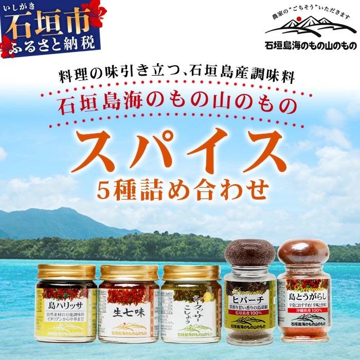 ふるさと納税 石垣市 UY-1 石垣島海のもの山のものスパイス&amp;オリジナル詰め合わせセットA
