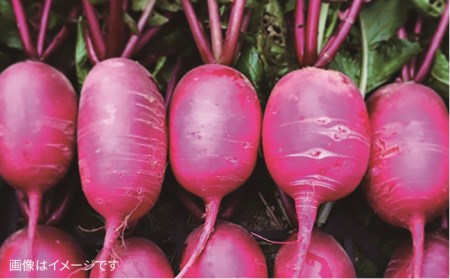 【 全12回 定期便 】 【 福岡県 糸島産 】 朝採れ サラダ用 野菜 セット 《糸島》【オーガニックナガミツファーム】 	[AGE011]