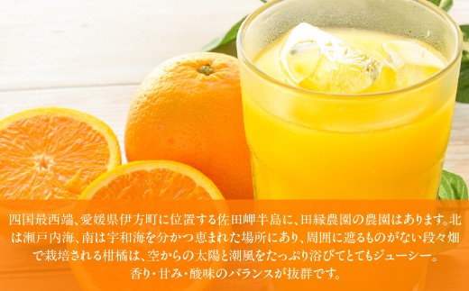 【6ヶ月定期便】田縁農園 6種みかんジュースセット 各2本セット×全6回 みかん いよかん 河内晩柑 不知火 きよみ ひょうかん  【ふるさと納税 人気 おすすめ ランキング ジュース みかんジュース