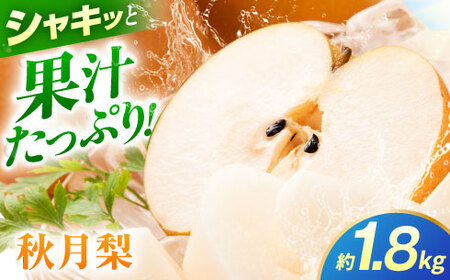 【先行予約】秋月梨　約1.8kg 梨 ナシ フルーツ 果物 【日本フルーツ株式会社】[ZFJ061]