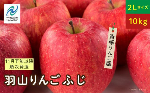 《2024年11月下旬以降順次》羽山のりんご ふじ2Lサイズ10kg りんご 果物 フルーツ 羽山りんご 10kg ふじ 人気 くだもの おすすめ お中元 お歳暮 ギフト 二本松市 ふくしま 福島県 送料無料【斎藤りんご園】