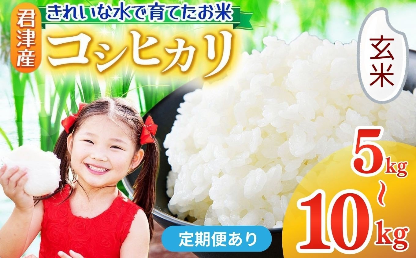 
                  【 定期便 あり】玄米 令和7年産 コシヒカリ 5kg or 10kg きれいな水で育てたお米 2週 間以内の発送| 保坂農場 名水 こめ げんまい こしひかり ちばエコ農産物 おにぎり お弁当 君津市産 イチオシ 千葉 君津市 きみつ 房総
                