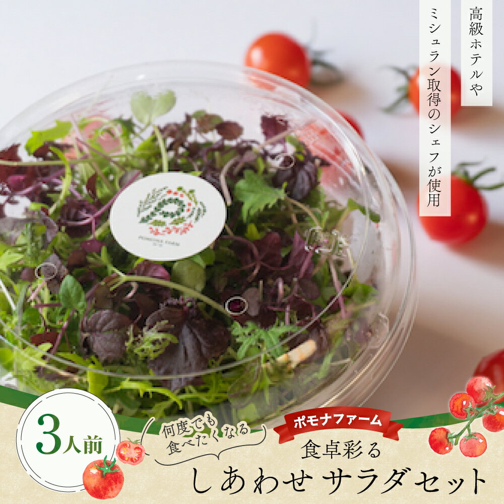【ふるさと納税】食卓彩るしあわせサラダセット（3人前） 新鮮 野菜 サラダ さらだ ベジタブル セット マイクロリーフ 水菜 からし水菜 レッドフリルマスタード 赤しそ ミニトマト トマト とまと フレンチ イタリアン 料理 健康 栄養豊富 三重県 多気町 PF-06