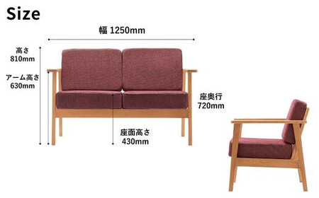 【開梱設置】 Coccole C423-2  2人掛けソファ ローソファ－