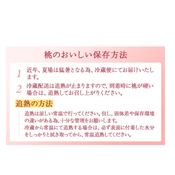 【産直・人気の特産品】和歌山の桃　3玉入り
※着日指定不可
※北海道・沖縄・離島への配送不可
※2025年6月下旬～8月上旬頃_イメージ4