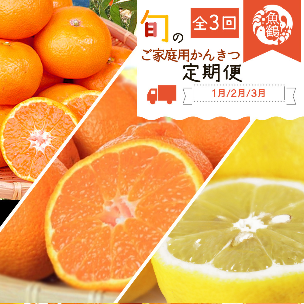 〈定期便〉【1・2・3月 全3回】紀州和歌山産旬のご家庭用柑橘セット(みかん・不知火・レモン)　※離島への配送不可