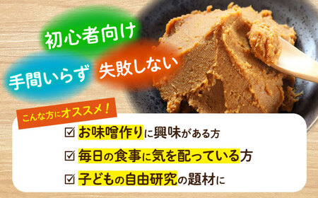 手作りキット 合わせ味噌 CDN010 味噌 自由研究 