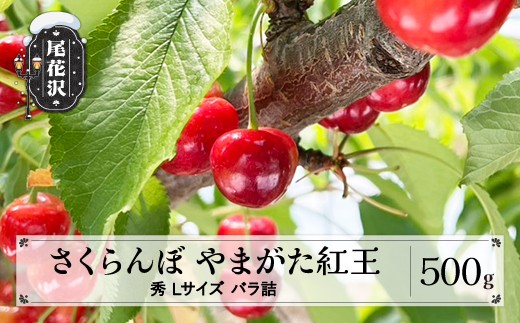 先行予約 さくらんぼ やまがた紅王 500g Lサイズ 秀品 山形県産 令和8年産 2026年産 sb-ybslx500