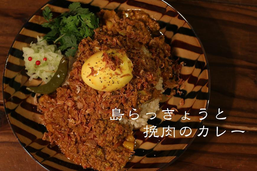 
MOSESU CURRYの島カレーシリーズ　島らっきょうとひき肉のカレー 250g（6食入り）
