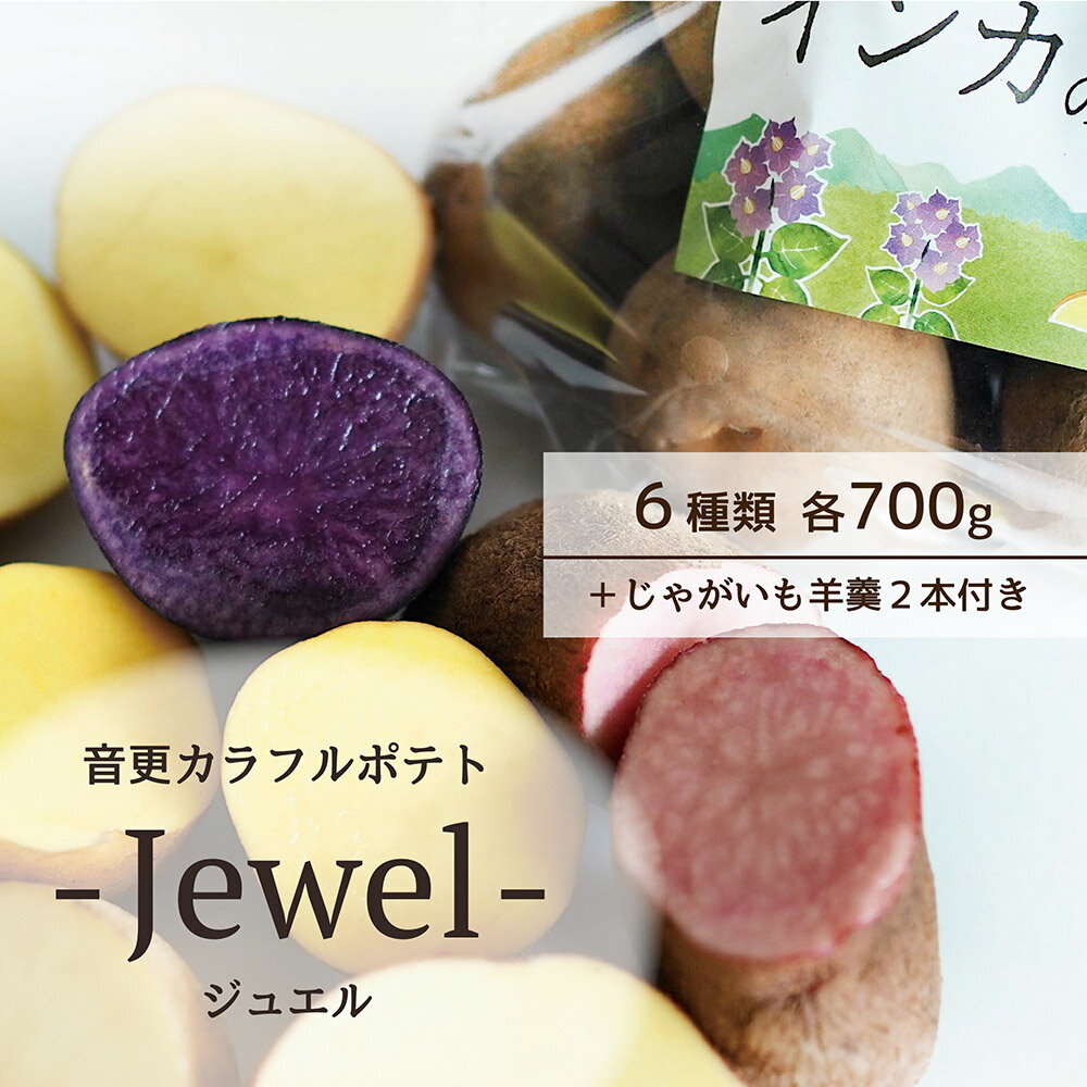 【ふるさと納税】《先行受付》音更カラフルポテト -Jewel- ( インカのめざめ・インカのひとみ・とうや・ノーザンルビー・シャドークイーン・さやあかね 各700g・じゃがいも羊羹 2本付き )【A129】　野菜 ジャガイモ じゃがいも ようかん《2025年12月上旬頃より順次発送》