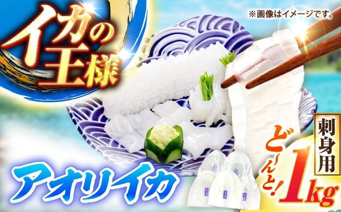 
            【冷凍】アオリイカ 刺身用 1kg　水烏賊 《壱岐市》 【一支國屋】海鮮 烏賊 イカ いか 刺身 刺し身 お刺身 アオリイカ 冷凍配送 [JCC020]
          