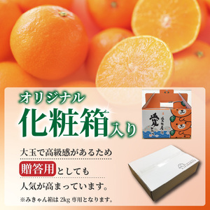 愛媛 みかん 愛果28号 贈答用 3kg あいか 【先行予約 2025年12月上旬から発送】 |  紅まどんな と同品種 柑橘 みかん まどんな 柑橘 みかん 果物  おすすめ 高級 人気 お取り寄せ