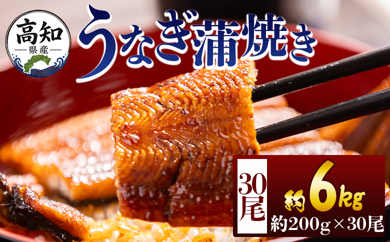 高知県産蒲焼きうなぎ ２００ｇ ３０尾 計６０００ｇ fb-0189